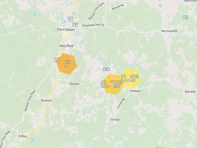 Hail map of Port Gibson, MS on Jul 2, 2026, hail up to 1"