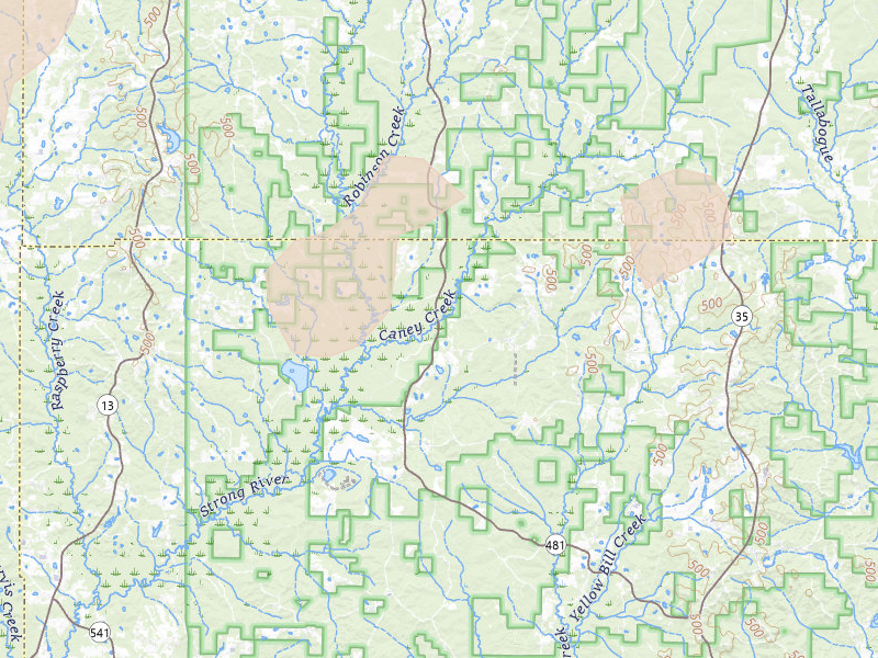 Radar-estimated hail-size map of the storm over Pulaski, MS on Mar 7, 2026