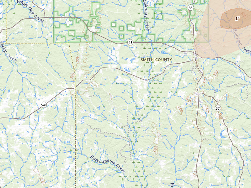 Radar-estimated hail-size map of the storm over Raleigh, MS on Jun 1, 2026