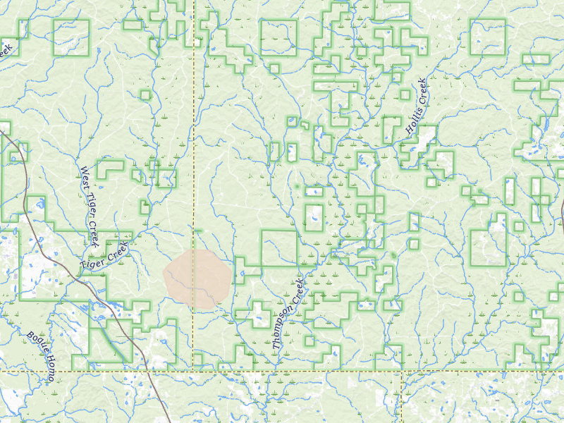 Radar-estimated hail-size map of the storm over Richton, MS on Aug 8, 2026