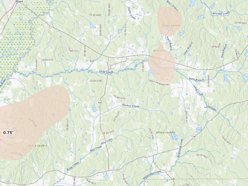 Radar-estimated hail-size map of the storm over Sallis, MS