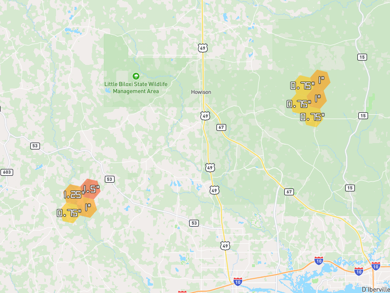 Hail map of Saucier, MS on Jun 2, 2026, hail up to 1.5"