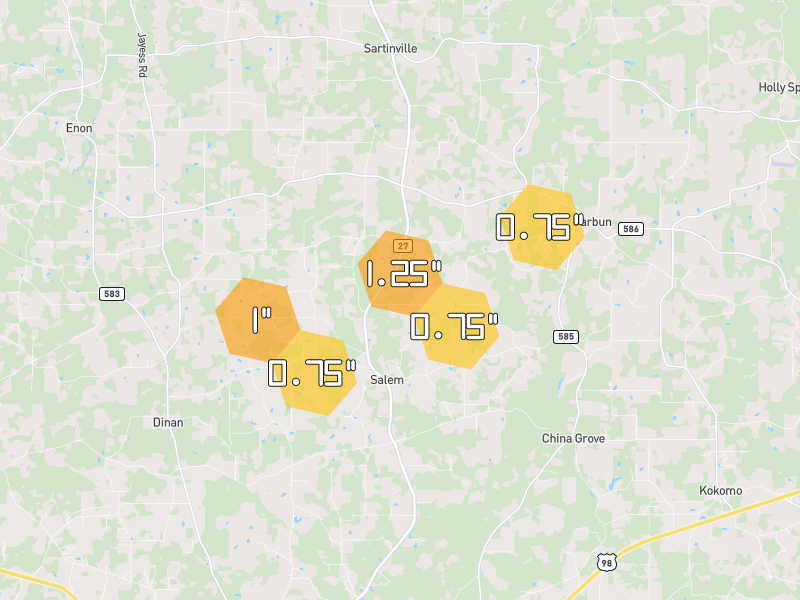 Hail map of Tylertown, MS on Jun 2, 2026, hail up to 1.25"