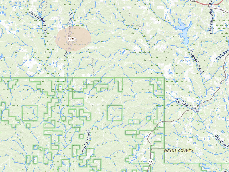 Radar-estimated hail-size map of the storm over Waynesboro, MS on Jul 5, 2026