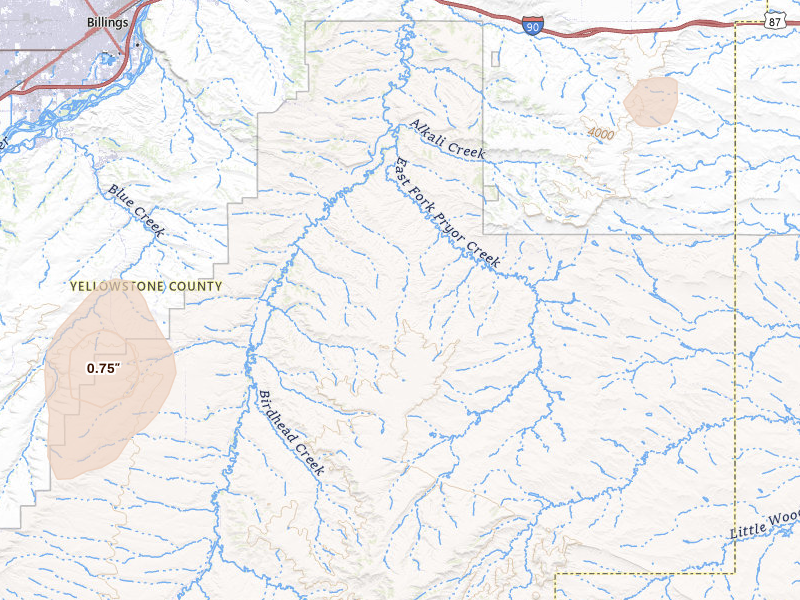 Radar-estimated hail-size map of the storm over Billings, MT on Jun 1, 2026