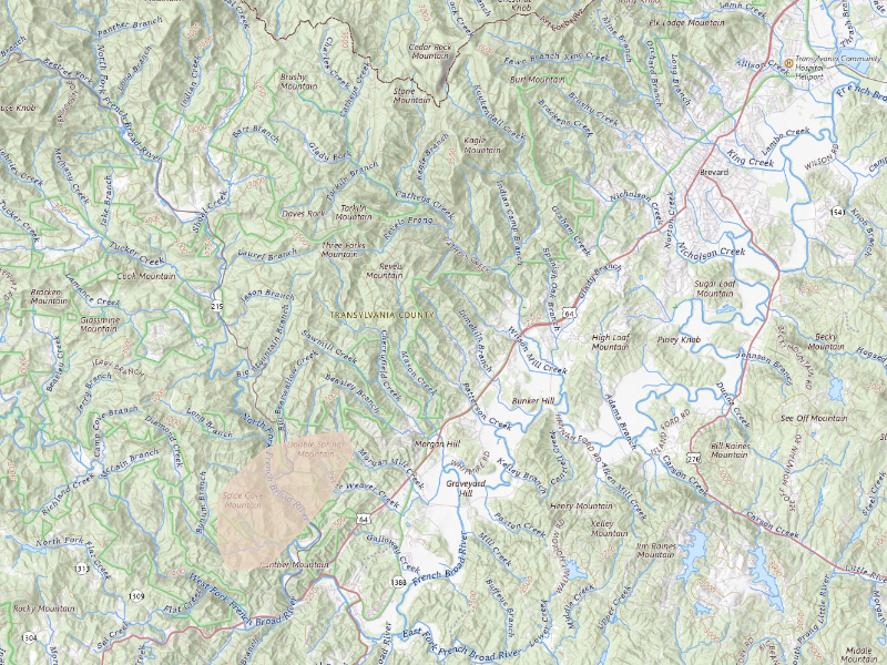 Radar-estimated hail-size map of the storm over Brevard, NC