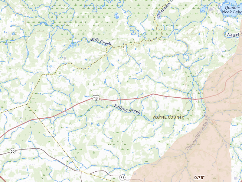 Radar-estimated hail-size map of the storm over Goldsboro, NC on Jul 5, 2026