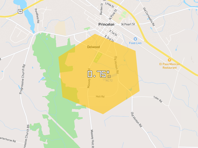 Hail map of Princeton, NC on Jul 29, 2026, hail up to 0.75"