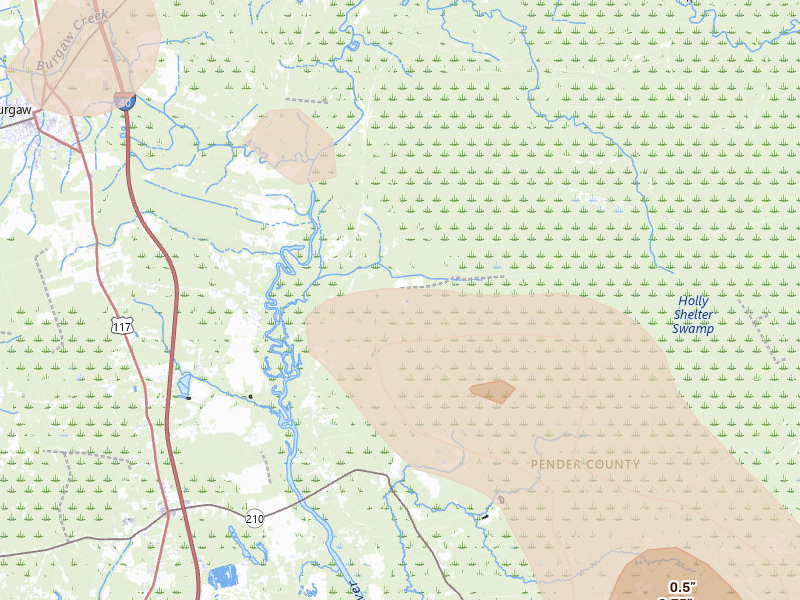 Radar-estimated hail-size map of the storm over Rocky Point, NC on Jul 8, 2026