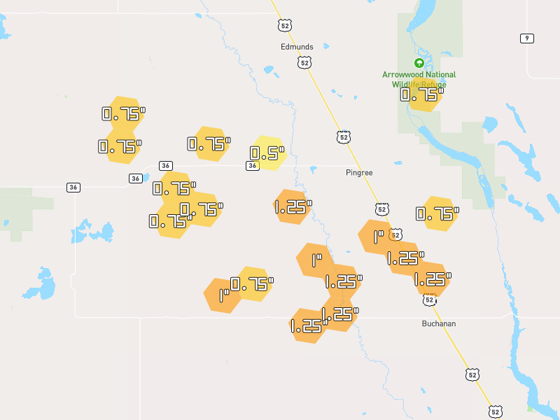 Hail map of Pingree, ND on Jun 3, 2026, hail up to 1.25"