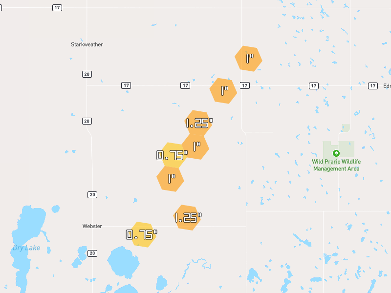 Hail map of Webster, ND on Jun 30, 2026, hail up to 1.25"