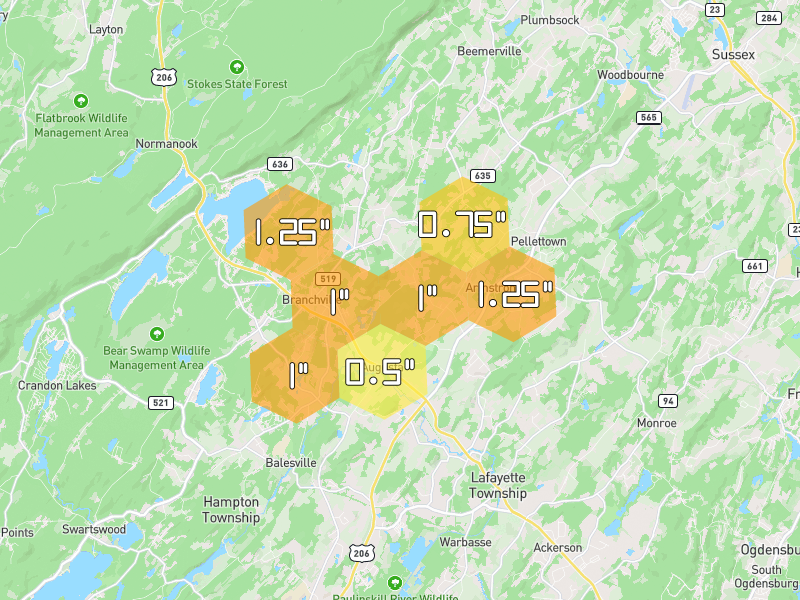 Hail map of Branchville, NJ on Jul 3, 2026, hail up to 1.25"