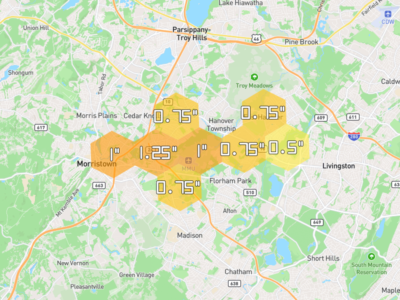 Hail map of Whippany, NJ on Jul 21, 2026, hail up to 1.25"