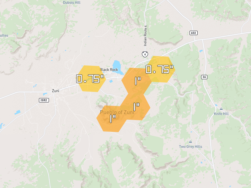 Hail map of Zuni, NM on Jul 21, 2026, hail up to 1"