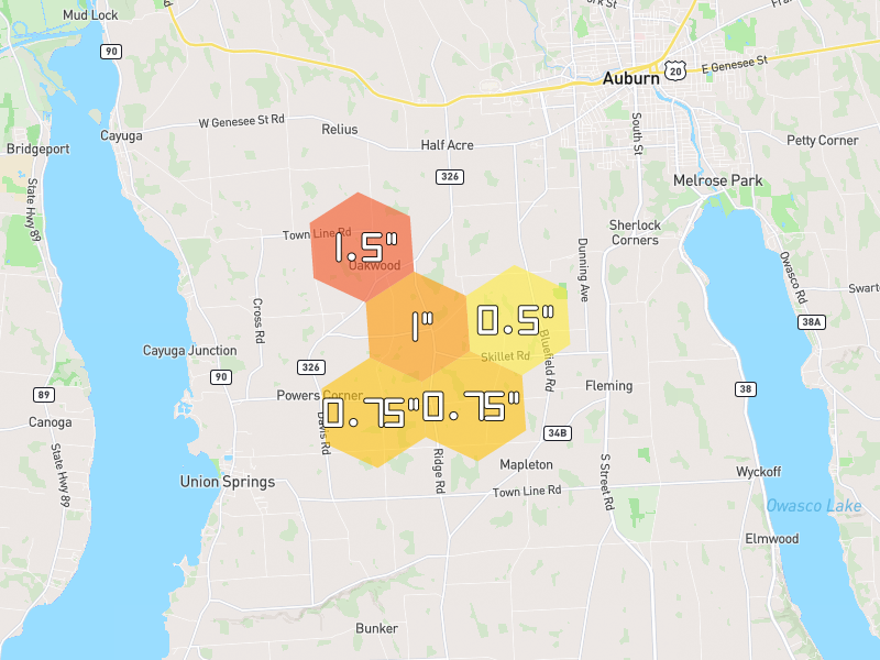 Hail map of Auburn, NY on Jun 30, 2026, hail up to 1.5"