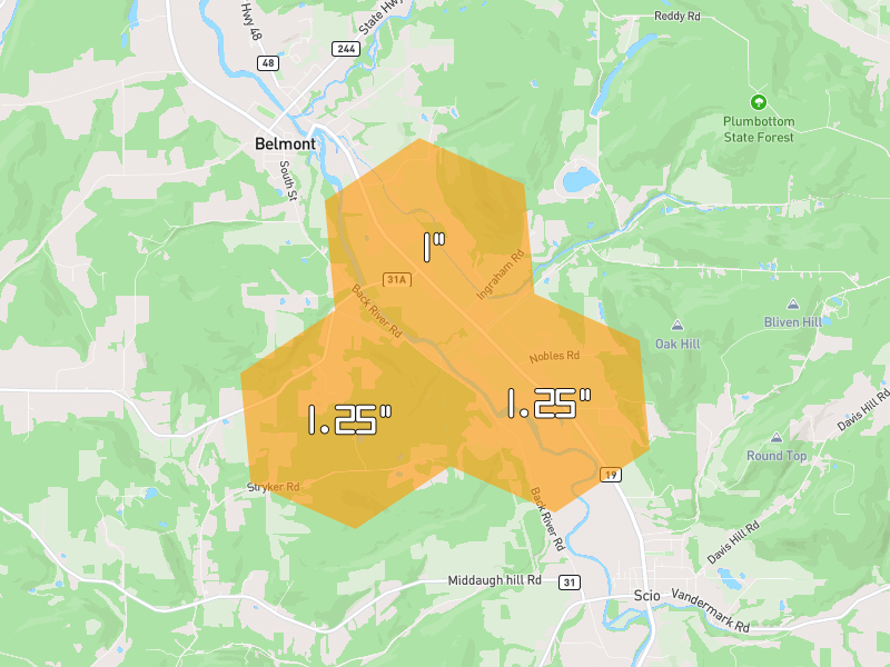 Hail map of Belmont, NY on Jul 3, 2026, hail up to 1.25"