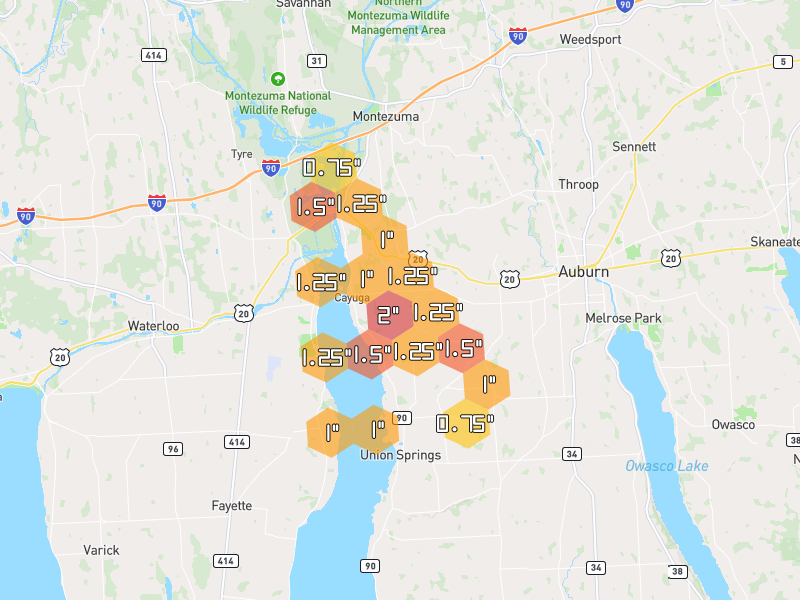 Hail map of Cayuga, NY on Jun 30, 2026, hail up to 2"