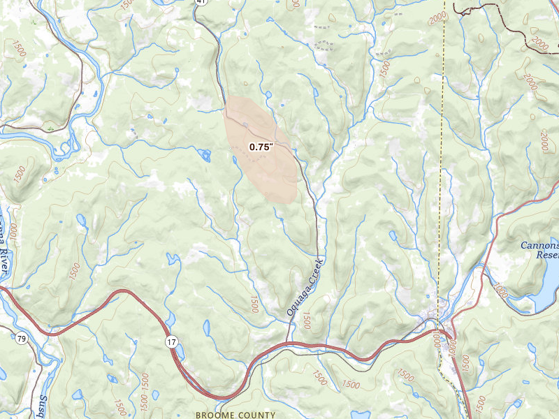 Radar-estimated hail-size map of the storm over Deposit, NY on Jan 10, 2026