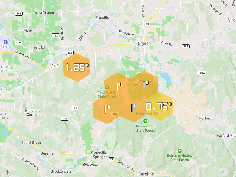 Hail map of Freeville, NY on Jul 2, 2026, hail up to 1.25"