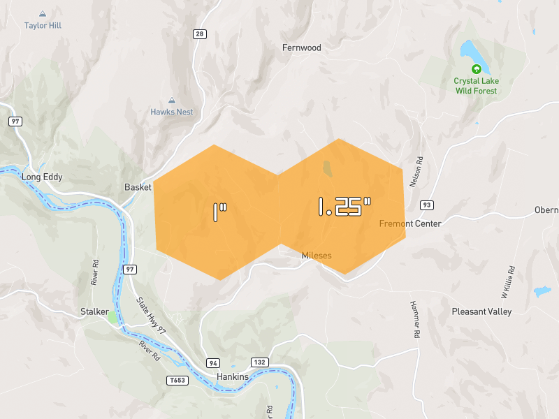 Hail map of Hankins, NY on Jun 6, 2026, hail up to 1.25"