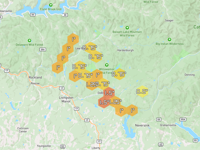 Hail map of Livingston Manor, NY on Jul 2, 2026, hail up to 1.5"