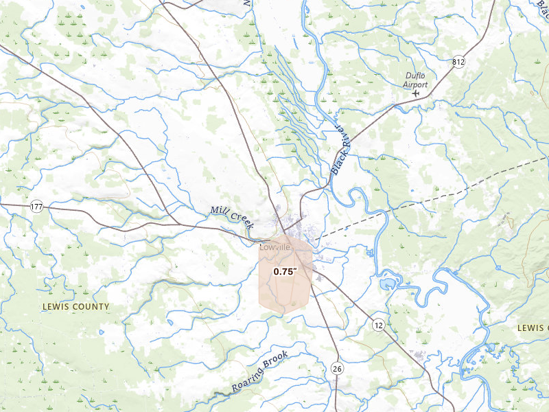 Radar-estimated hail-size map of the storm over Lowville, NY on Jan 14, 2026