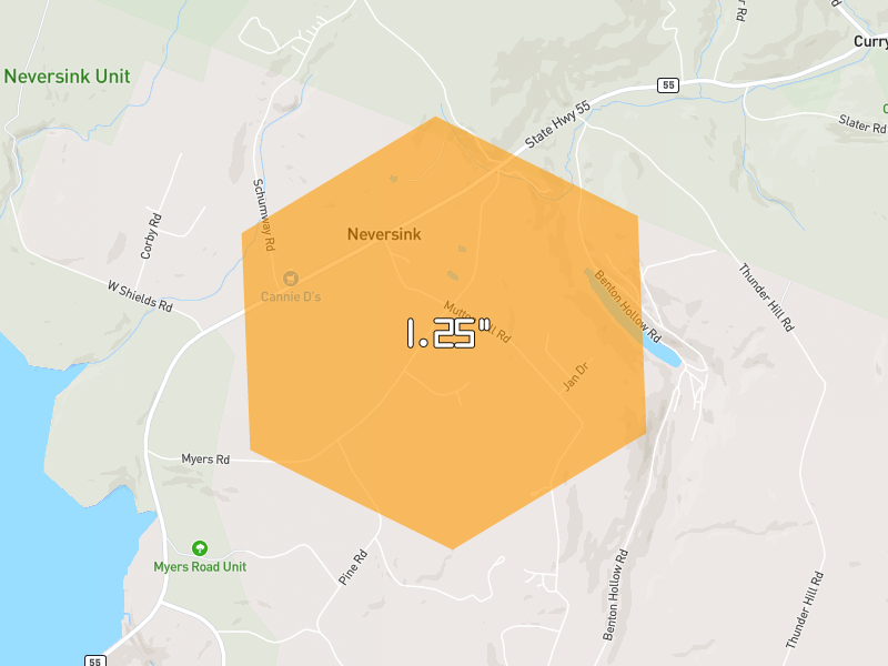Hail map of Neversink, NY on Jun 6, 2026, hail up to 1.25"