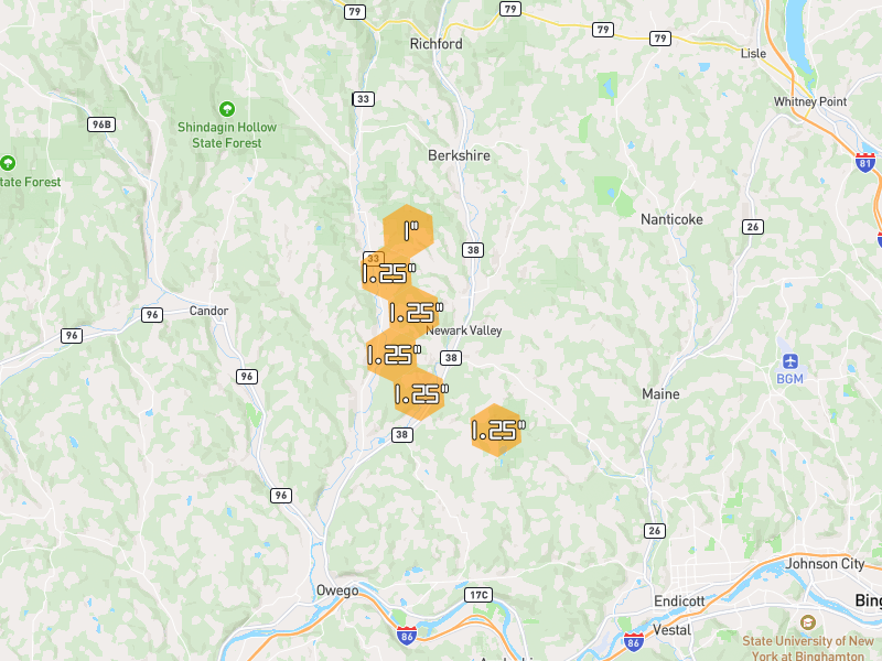 Hail map of Newark Valley, NY on Jul 3, 2026, hail up to 1.25"