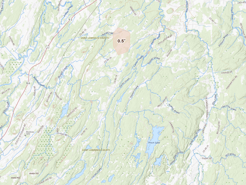 Radar-estimated hail-size map of the storm over Richville, NY