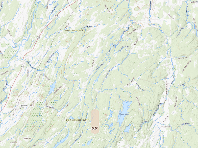 Radar-estimated hail-size map of the storm over Richville, NY