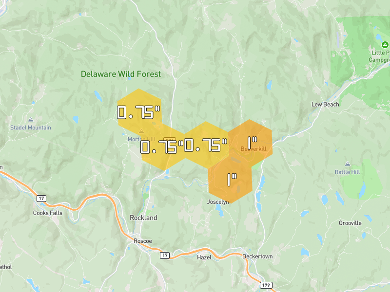 Hail map of Roscoe, NY on Jul 2, 2026, hail up to 1"