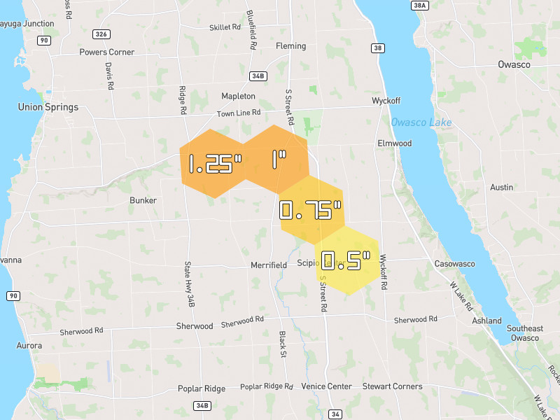 Hail map of Scipio Center, NY on Jun 30, 2026, hail up to 1.25"