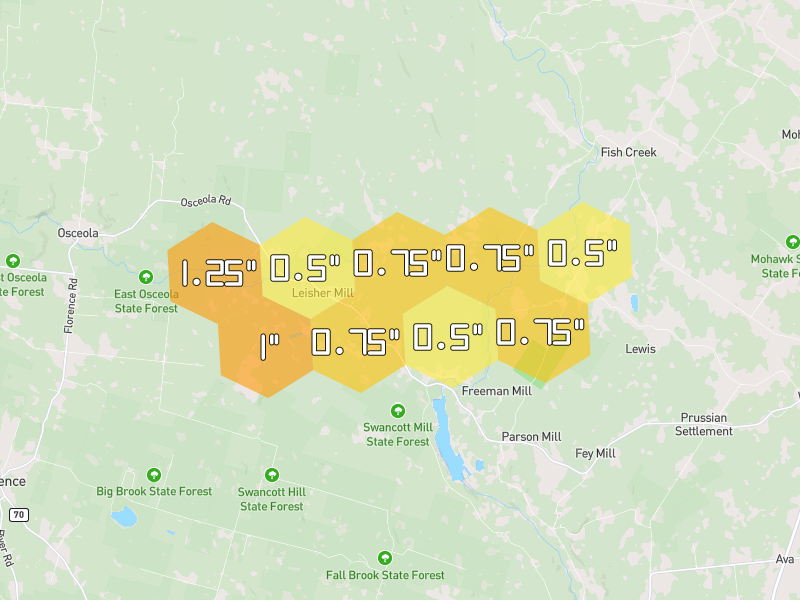 Hail map of West Leyden, NY on Jul 1, 2026, hail up to 1.25"