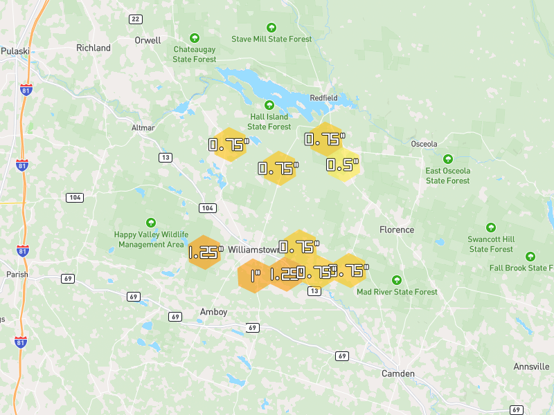Hail map of Williamstown, NY on Jul 1, 2026, hail up to 1.25"