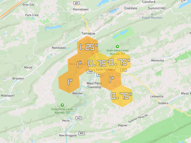 Hail map of New Ringgold, PA on Jul 3, 2026, hail up to 1.25"