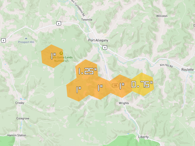 Hail map of Port Allegany, PA on Jul 4, 2026, hail up to 1.25"