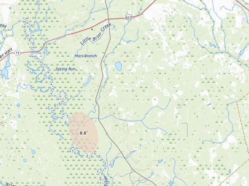 Radar-estimated hail-size map of the storm over Allendale, SC on Jun 12, 2026