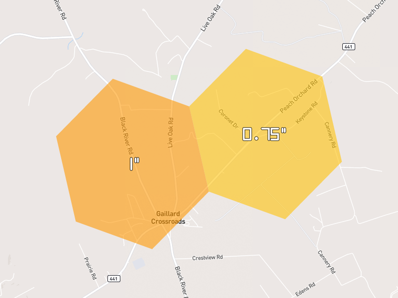 Hail map of Dalzell, SC on Jul 10, 2026, hail up to 1"