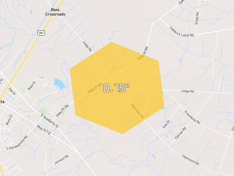 Hail map of Dillon, SC on Jul 11, 2026, hail up to 0.75"