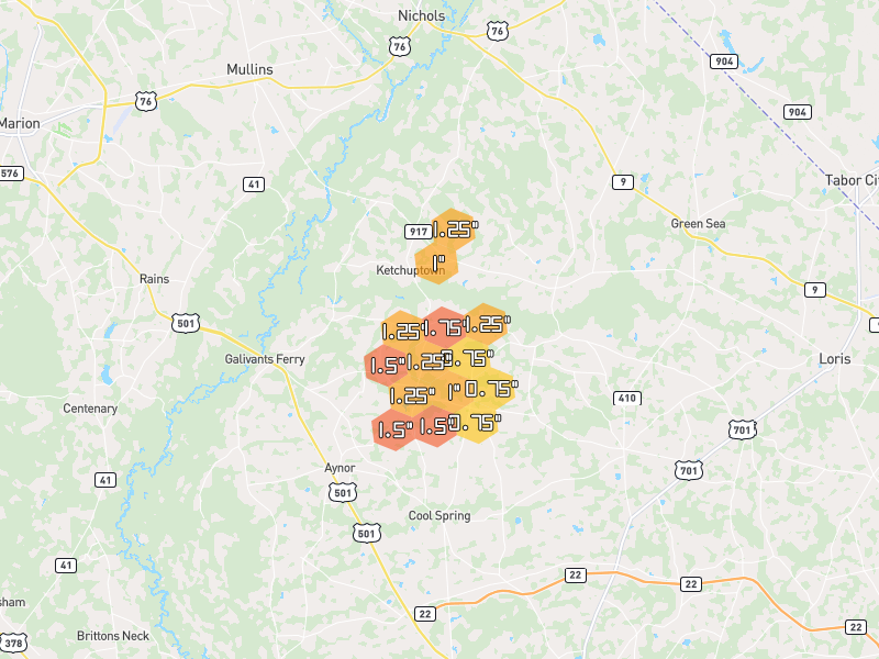 Hail map of Galivants Ferry, SC on Jul 5, 2026, hail up to 1.75"