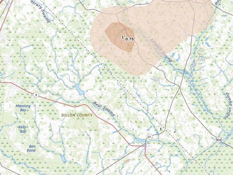 Radar-estimated hail-size map of the storm over Lake View, SC on Jul 6, 2026