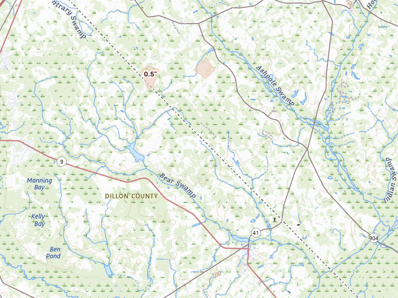 Radar-estimated hail-size map of the storm over Lake View, SC on Jul 17, 2026