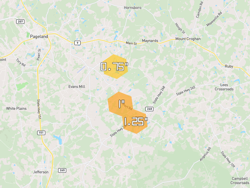 Hail map of Mount Croghan, SC on Jul 5, 2026, hail up to 1.25"