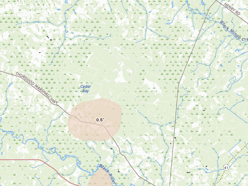 Radar-estimated hail-size map of the storm over Nesmith, SC