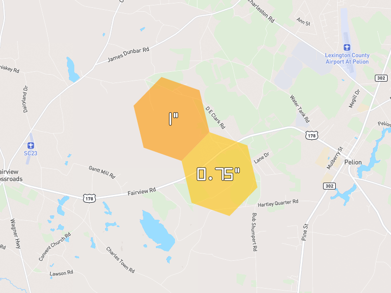 Hail map of Pelion, SC on Jul 6, 2026, hail up to 1"