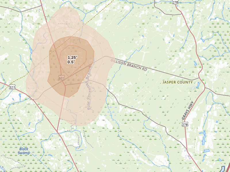 Radar-estimated hail-size map of the storm over Pineland, SC on Jul 24, 2026