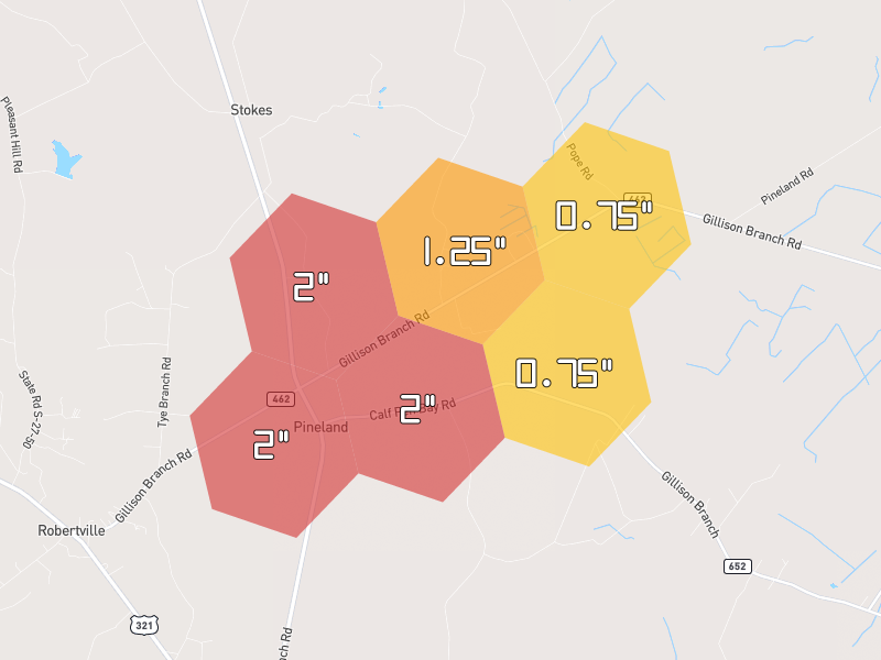 Hail map of Pineland, SC on Jul 24, 2026, hail up to 2"