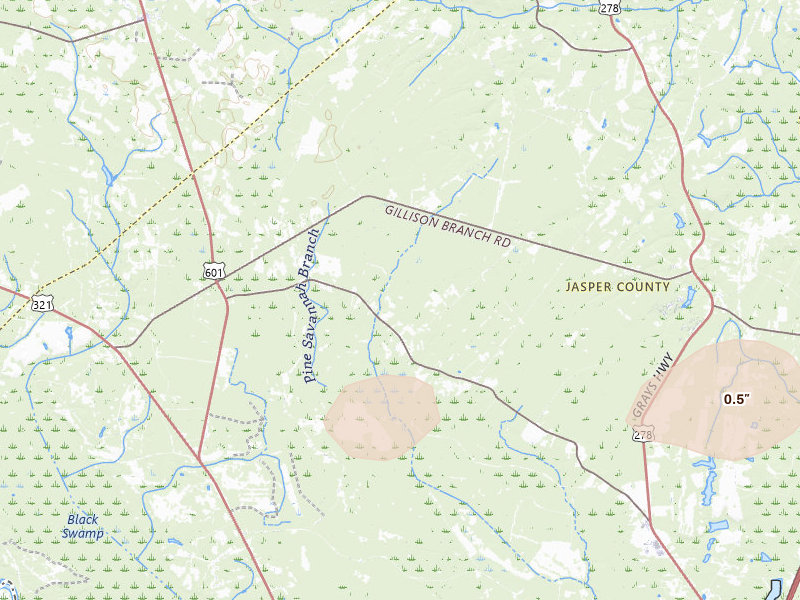 Radar-estimated hail-size map of the storm over Pineland, SC on Aug 16, 2026