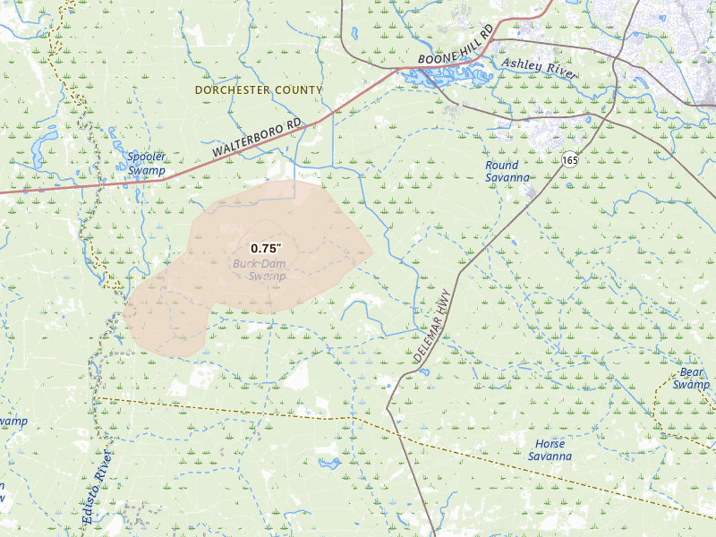 Radar-estimated hail-size map of the storm over Ridgeville, SC on Mar 8, 2026