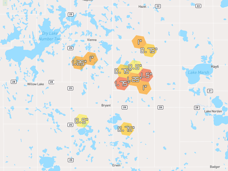 Hail map of Bryant, SD on Jun 4, 2026, hail up to 1.75"